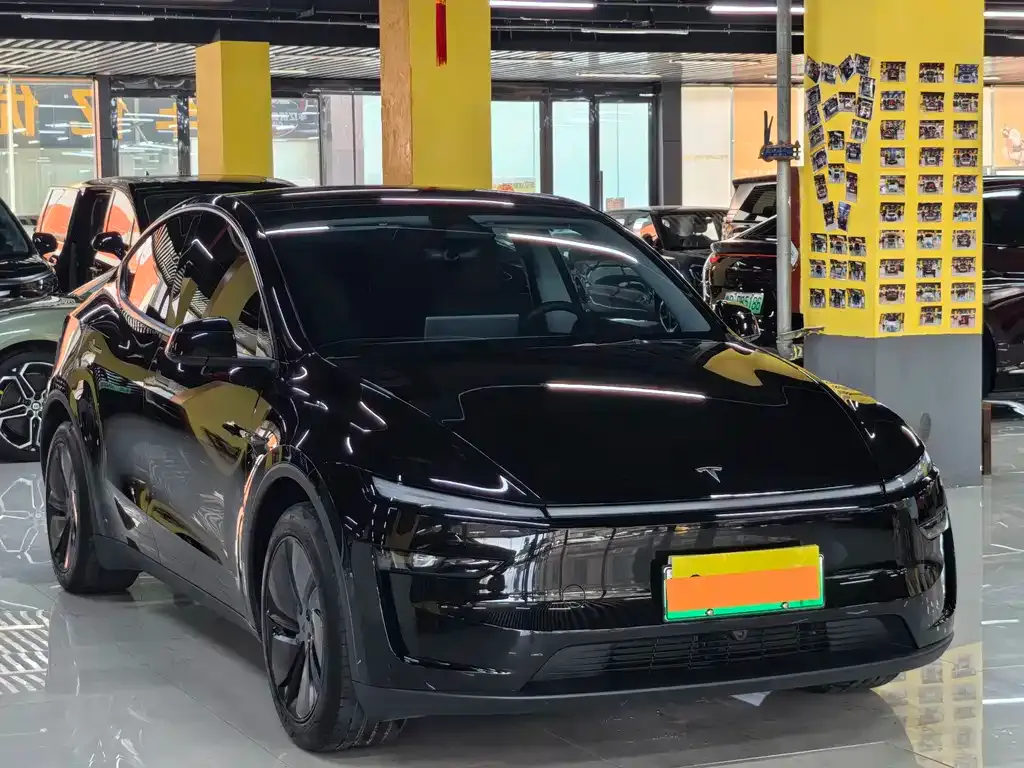 Tesla Model Y — фото 10