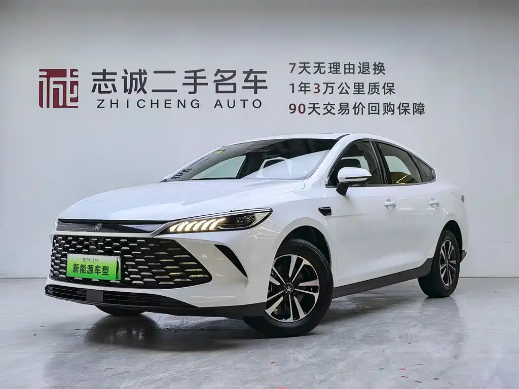 BYD Qin PLUS — фото 1
