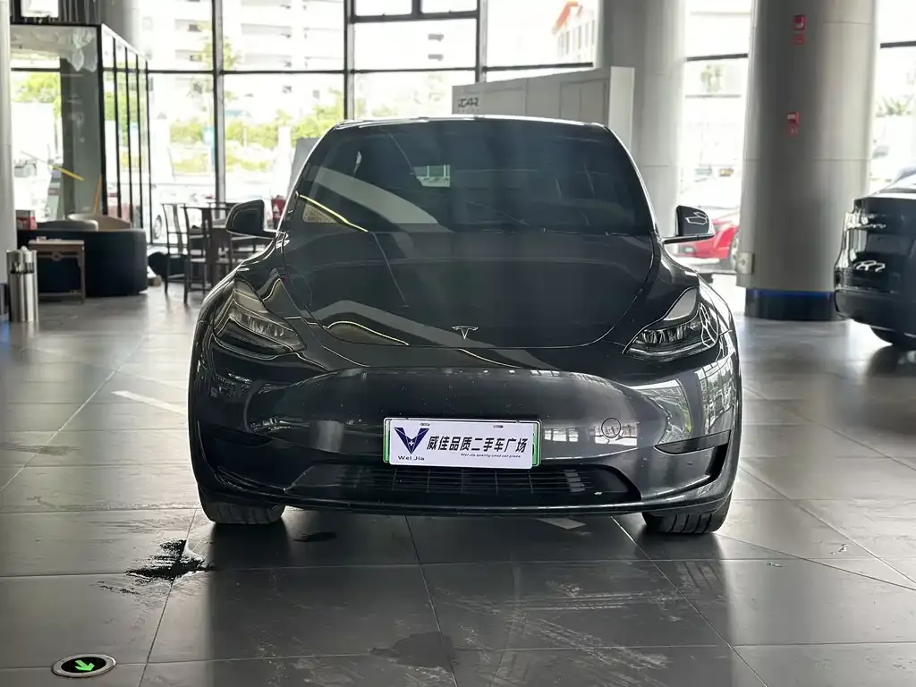 Tesla Model Y — фото 3