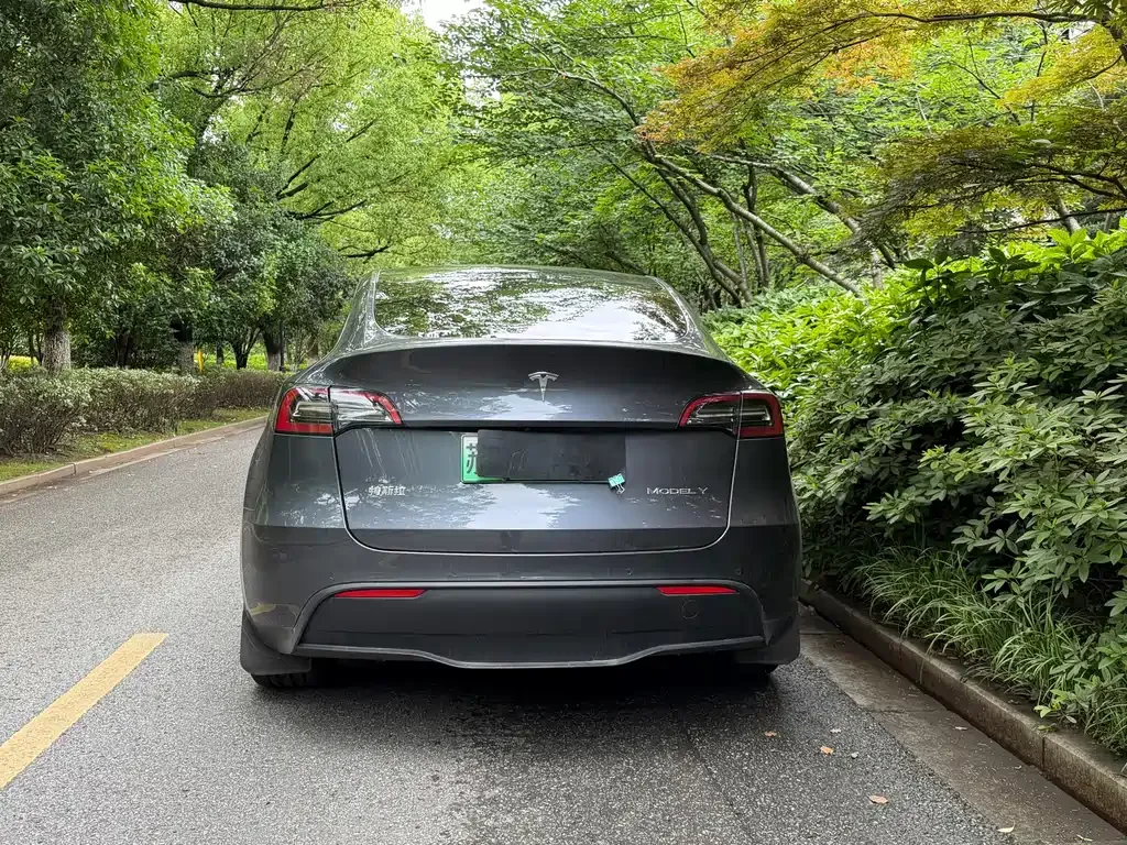 Tesla Model Y — фото 10