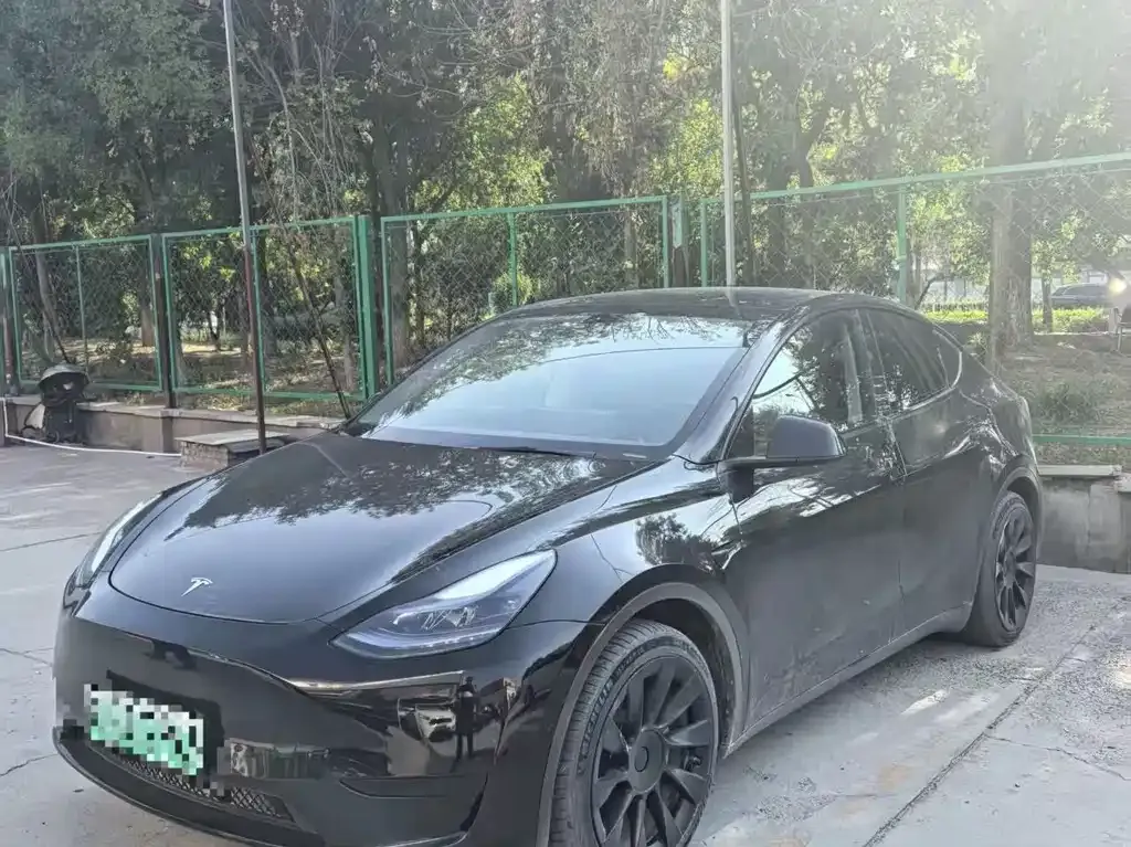 Tesla Model Y — фото 1