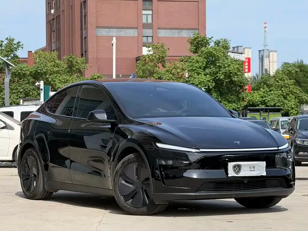 Tesla Model Y — фото 10
