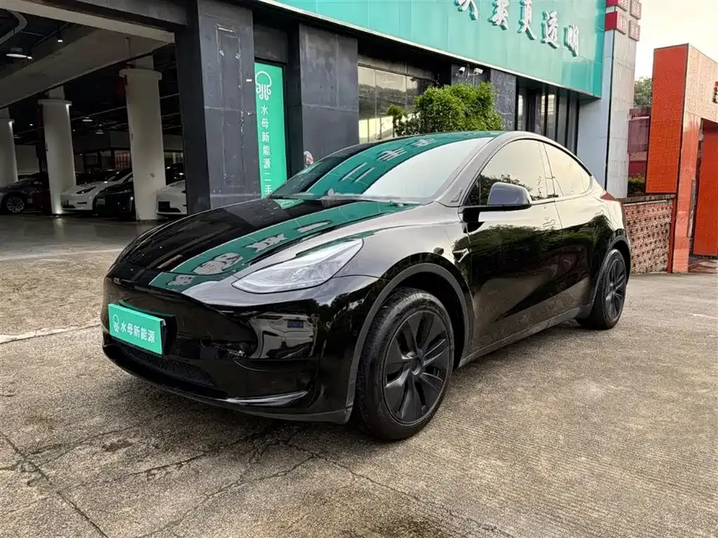 Tesla Model Y — фото 1