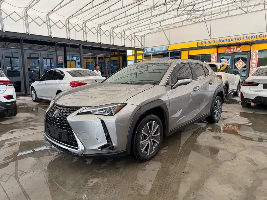 Lexus UX New Energy — фото 1