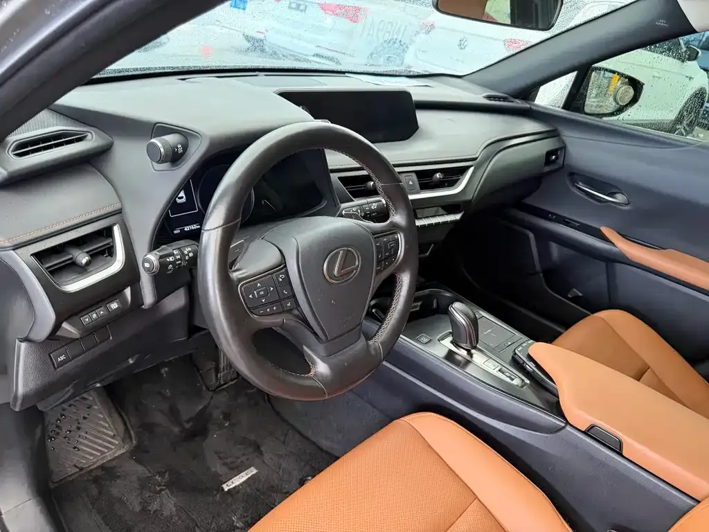 Lexus UX New Energy — фото 6