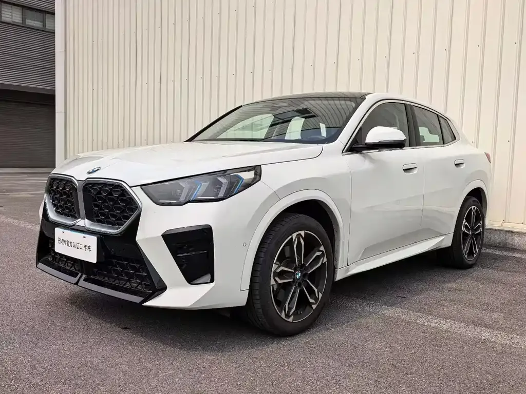 BMW X2 (Import) — фото 1