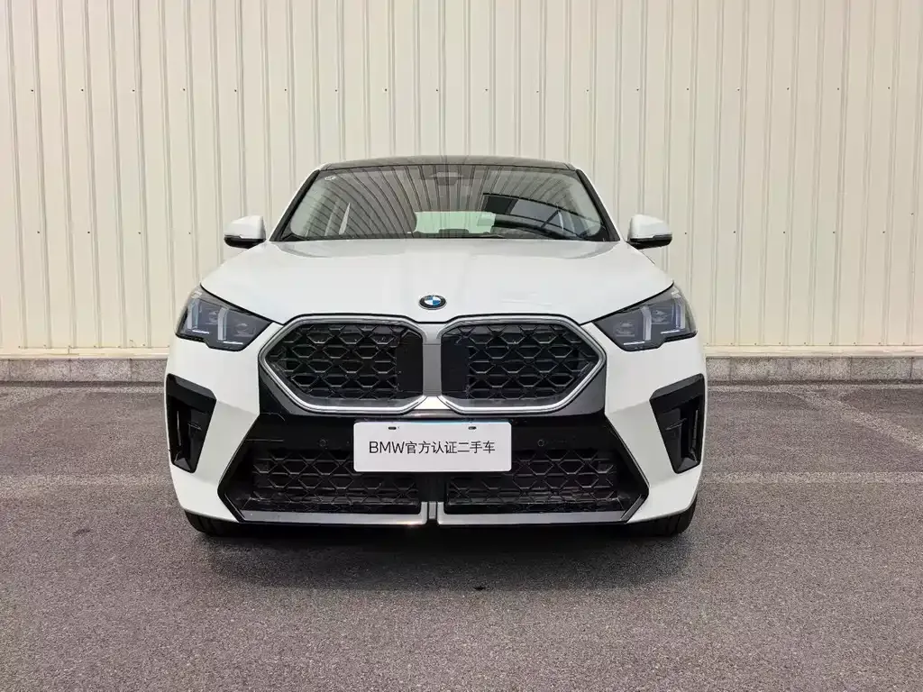 BMW X2 (Import) — фото 9
