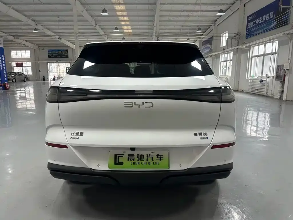 BYD Hiace 06 — фото 10