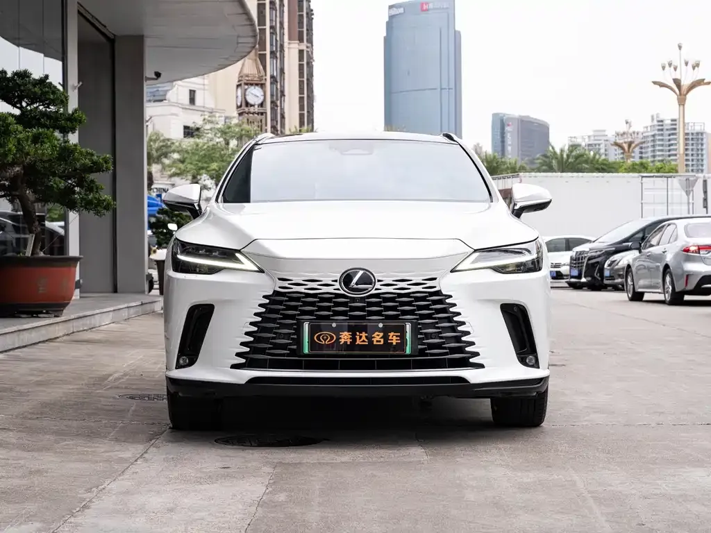 Lexus RX New Energy — фото 10