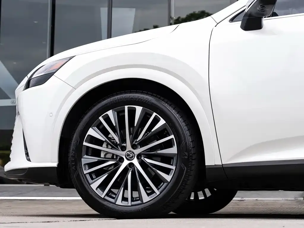Lexus RX New Energy — фото 8