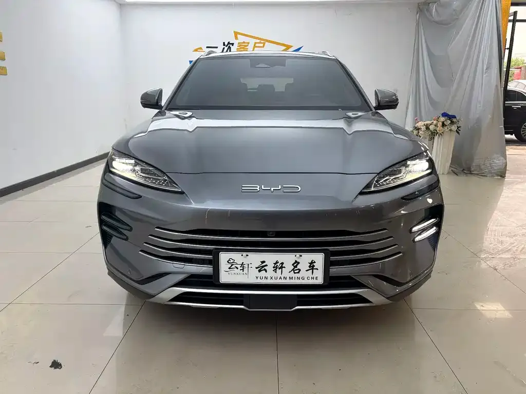 BYD PLUS New Energy — фото 1