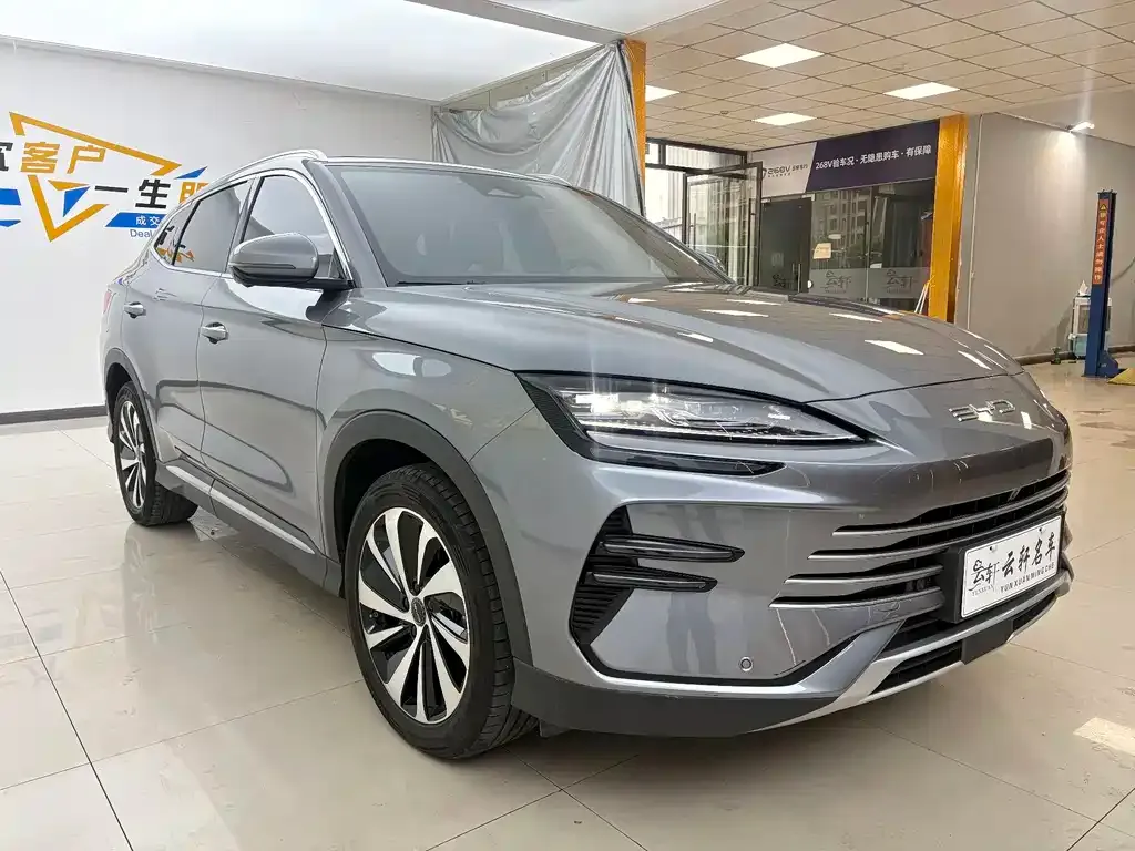 BYD PLUS New Energy — фото 6