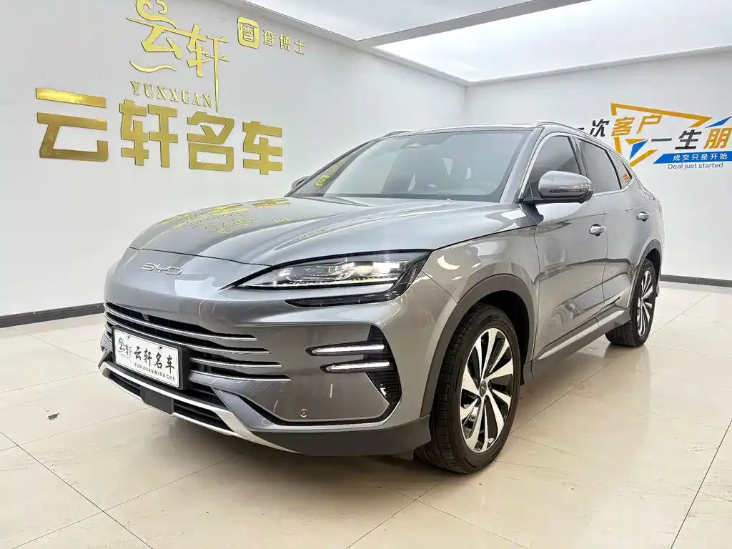BYD PLUS New Energy — фото 4