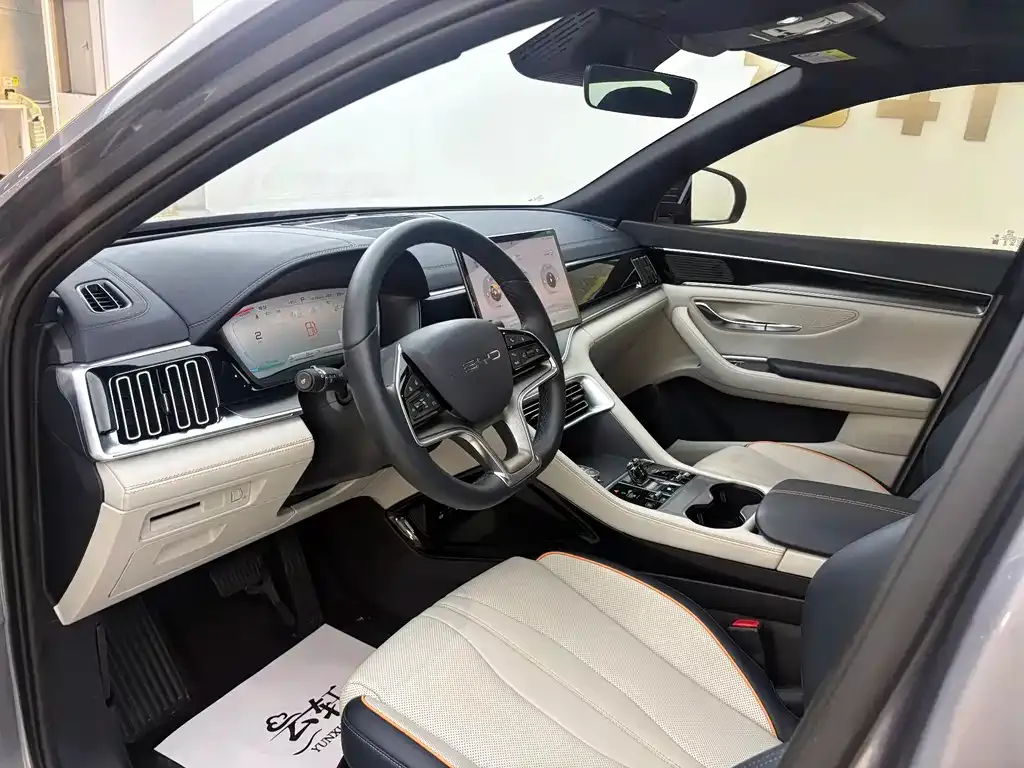 BYD PLUS New Energy — фото 10