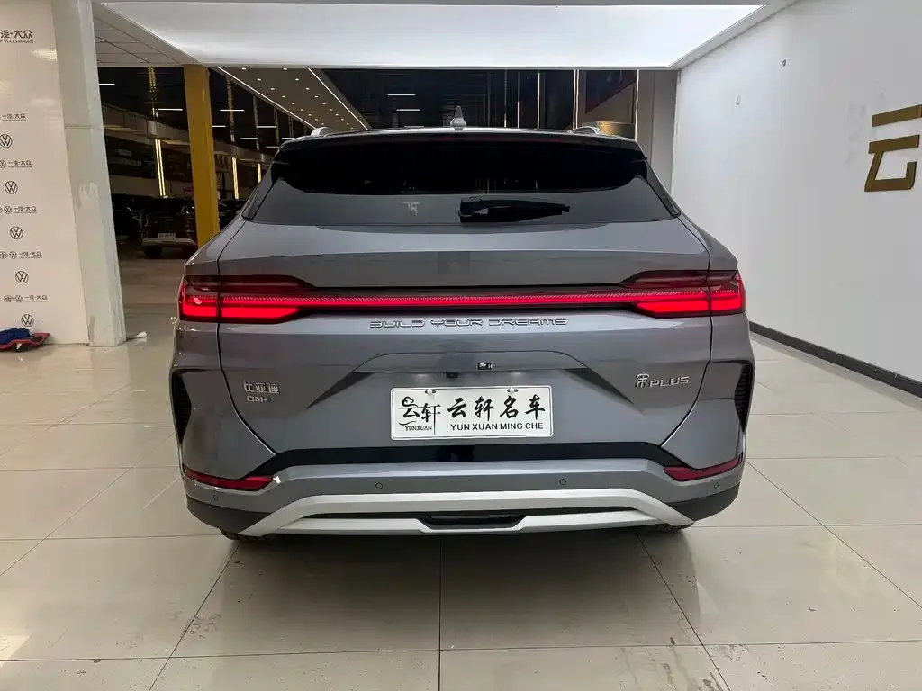 BYD PLUS New Energy — фото 2