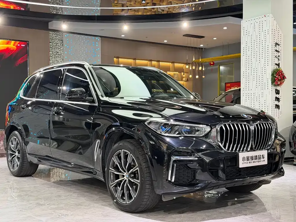 BMW X5 — фото 10
