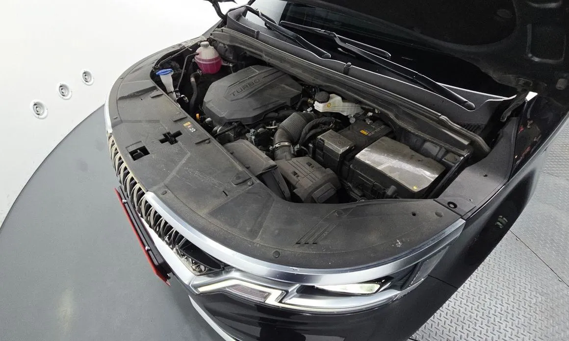 Kia Carnival — фото 10