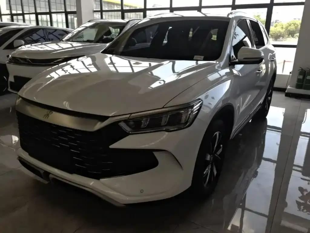 BYD Pro New Energy — фото 8