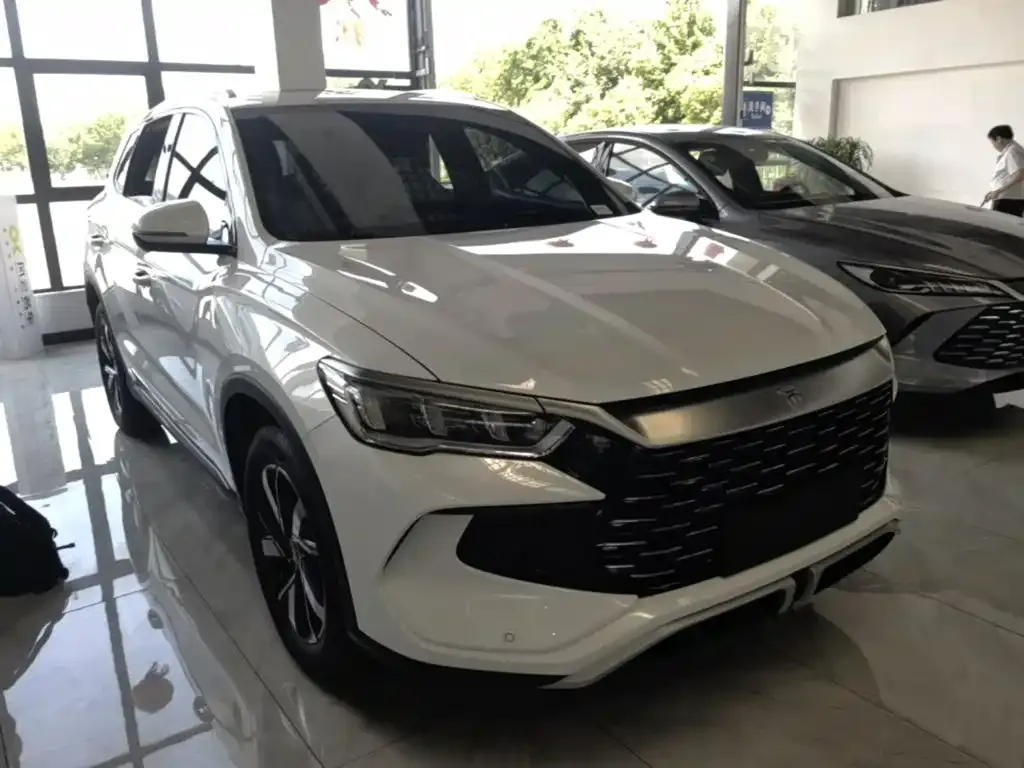 BYD Pro New Energy — фото 10