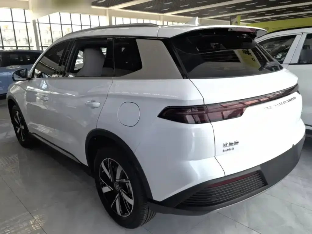 BYD Pro New Energy — фото 6