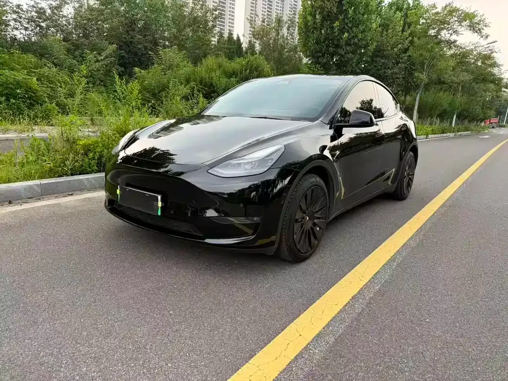 Tesla Model Y — фото 1