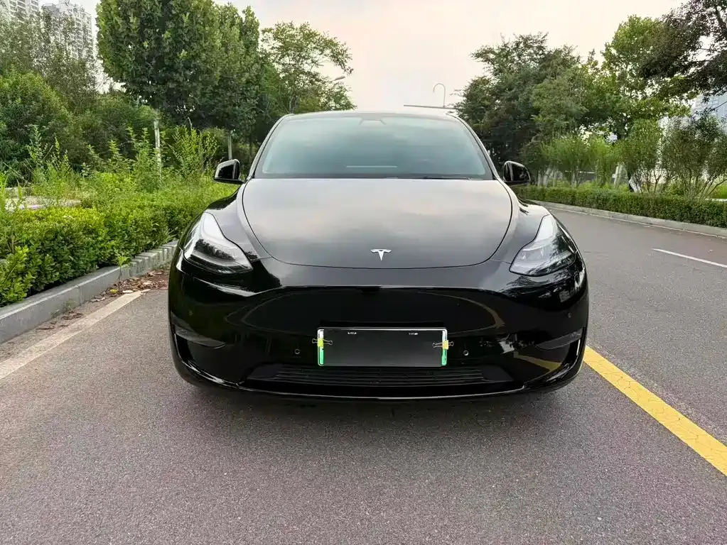 Tesla Model Y — фото 8