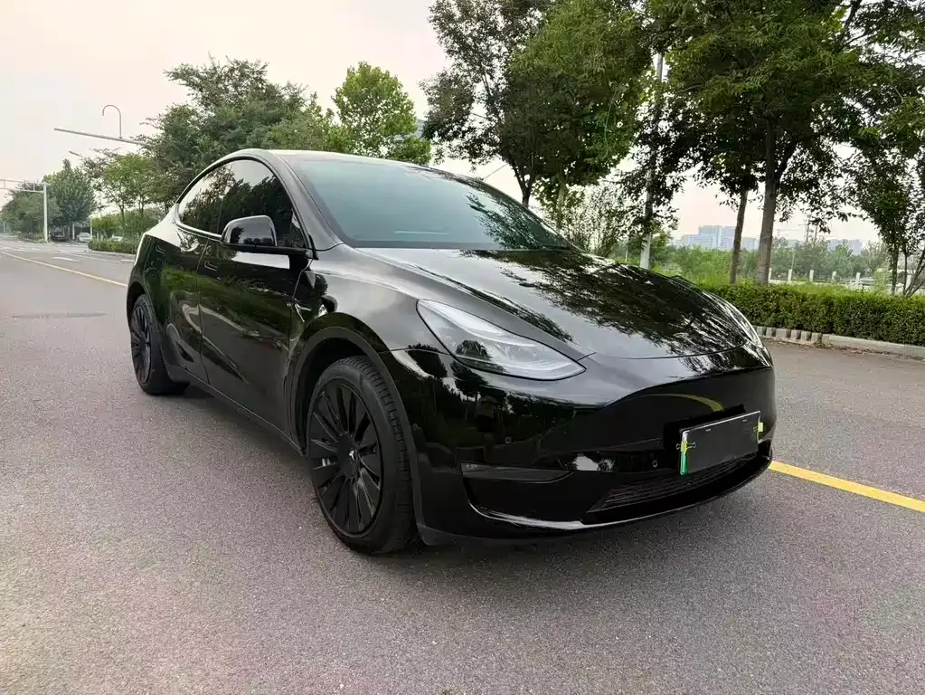Tesla Model Y — фото 6