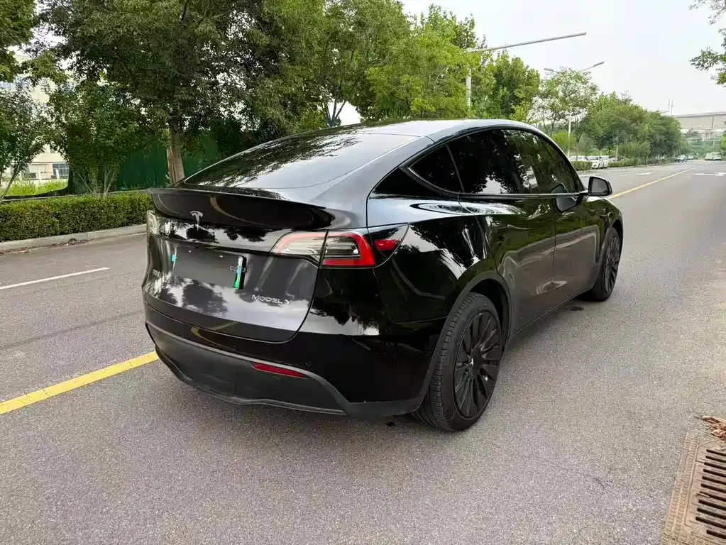 Tesla Model Y — фото 9