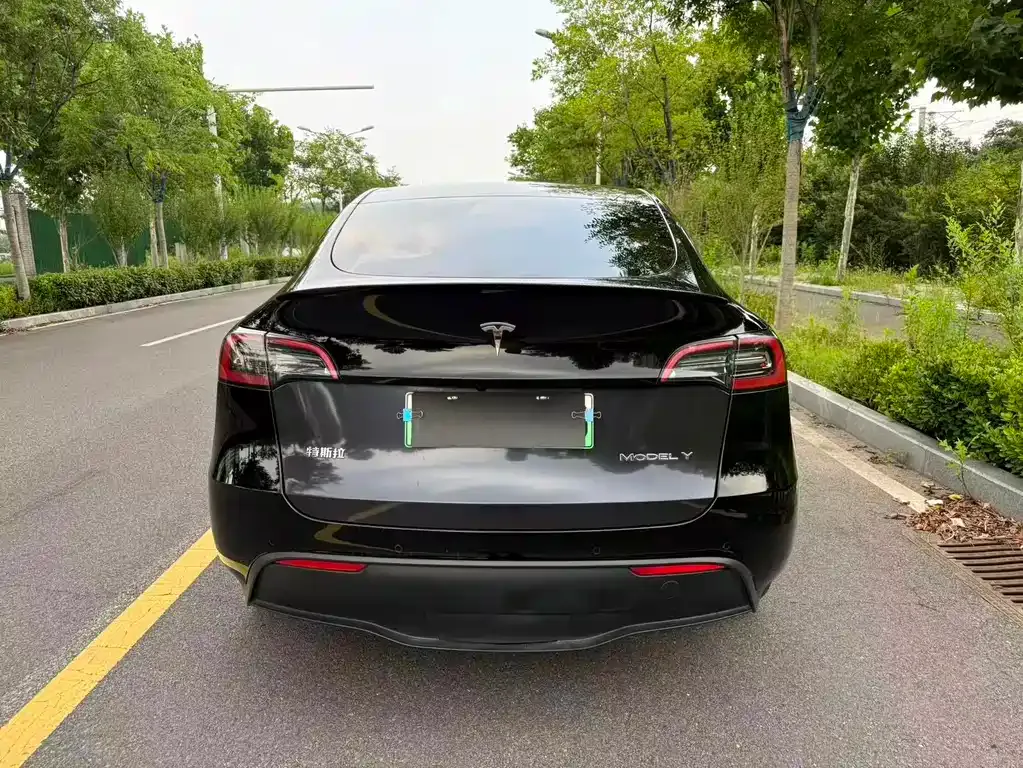 Tesla Model Y — фото 4