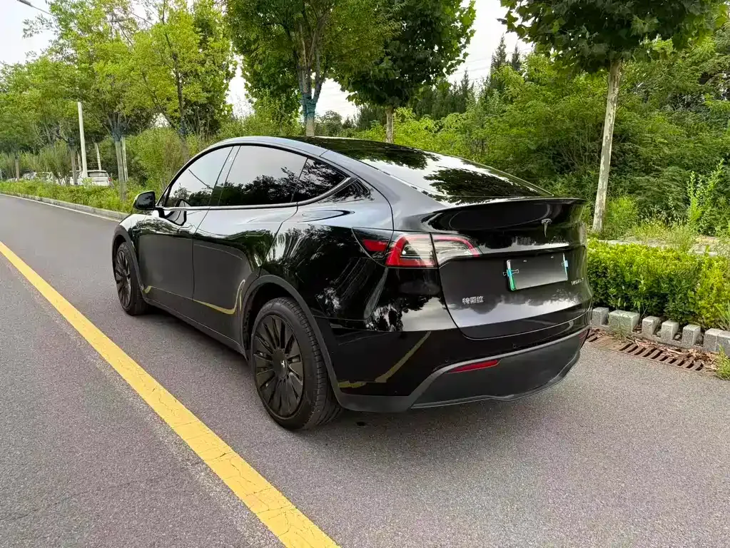 Tesla Model Y — фото 5