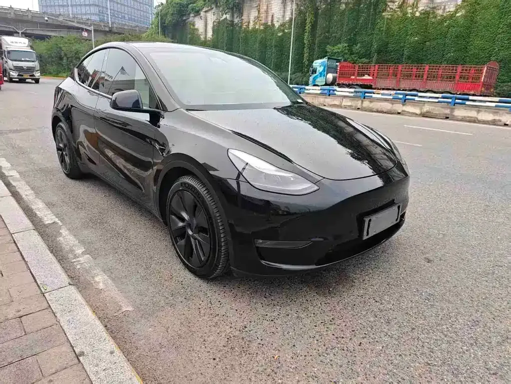 Tesla Model Y — фото 9