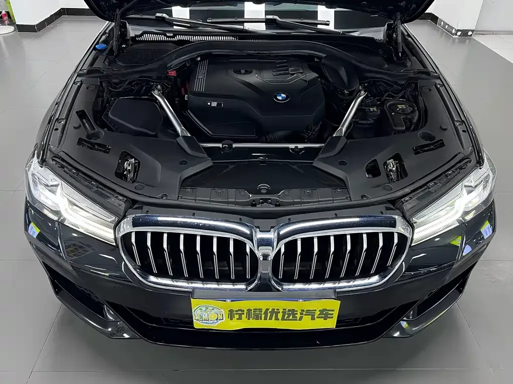 BMW 5 Series (Import) — фото 9