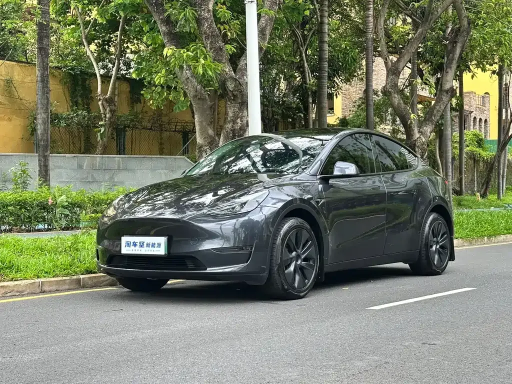 Tesla Model Y — фото 1