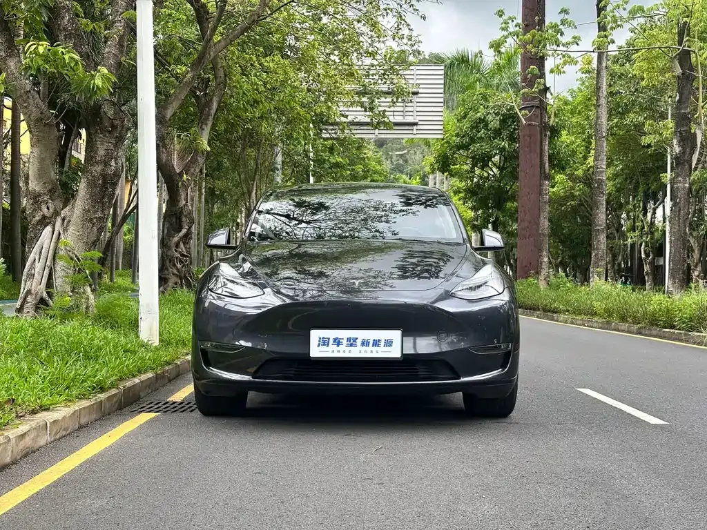 Tesla Model Y — фото 8