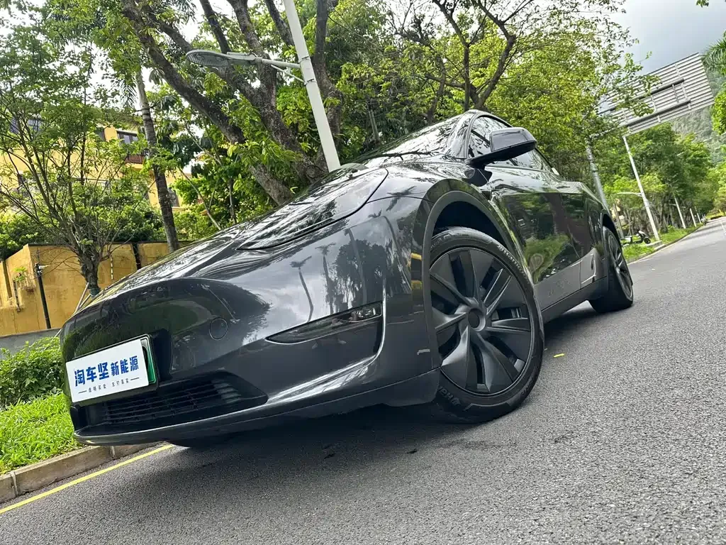 Tesla Model Y — фото 7