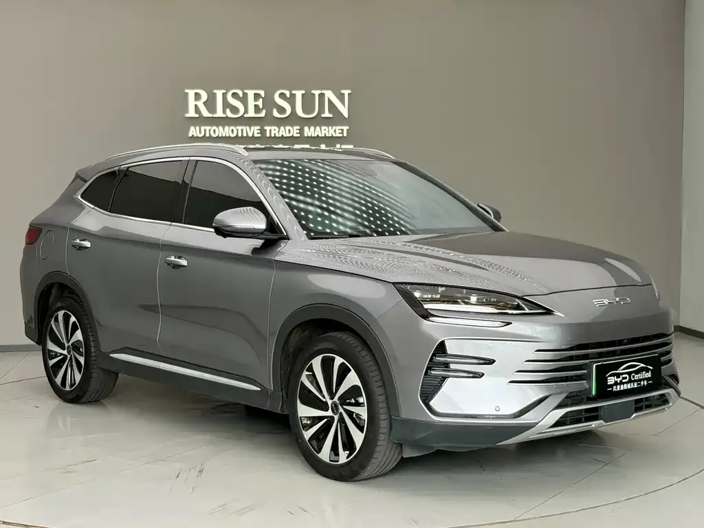 BYD PLUS New Energy 2024 из CN, фото 3