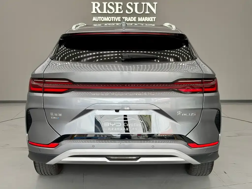 BYD PLUS New Energy 2024 из CN, фото 2