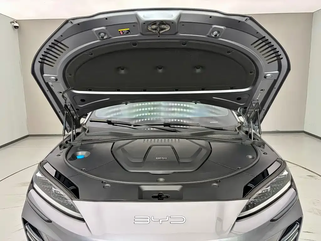 BYD PLUS New Energy 2024 из CN, фото 6