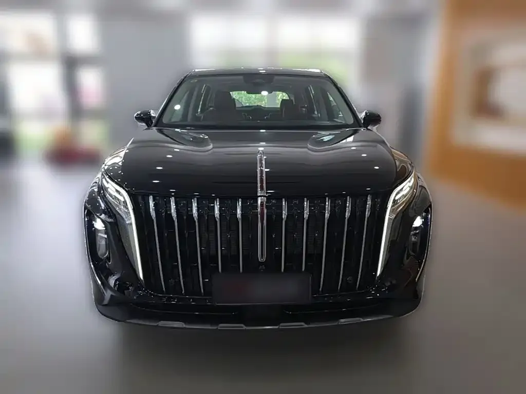 Hongqi HS7 PHEV — фото 2