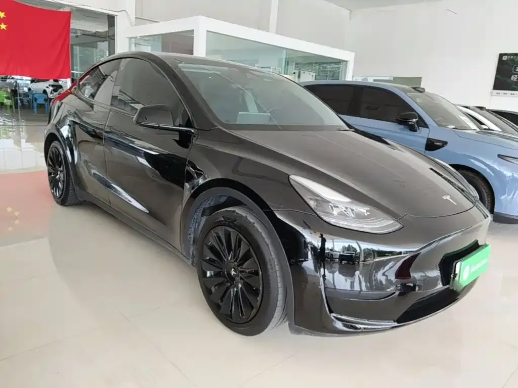 Tesla Model Y — фото 8