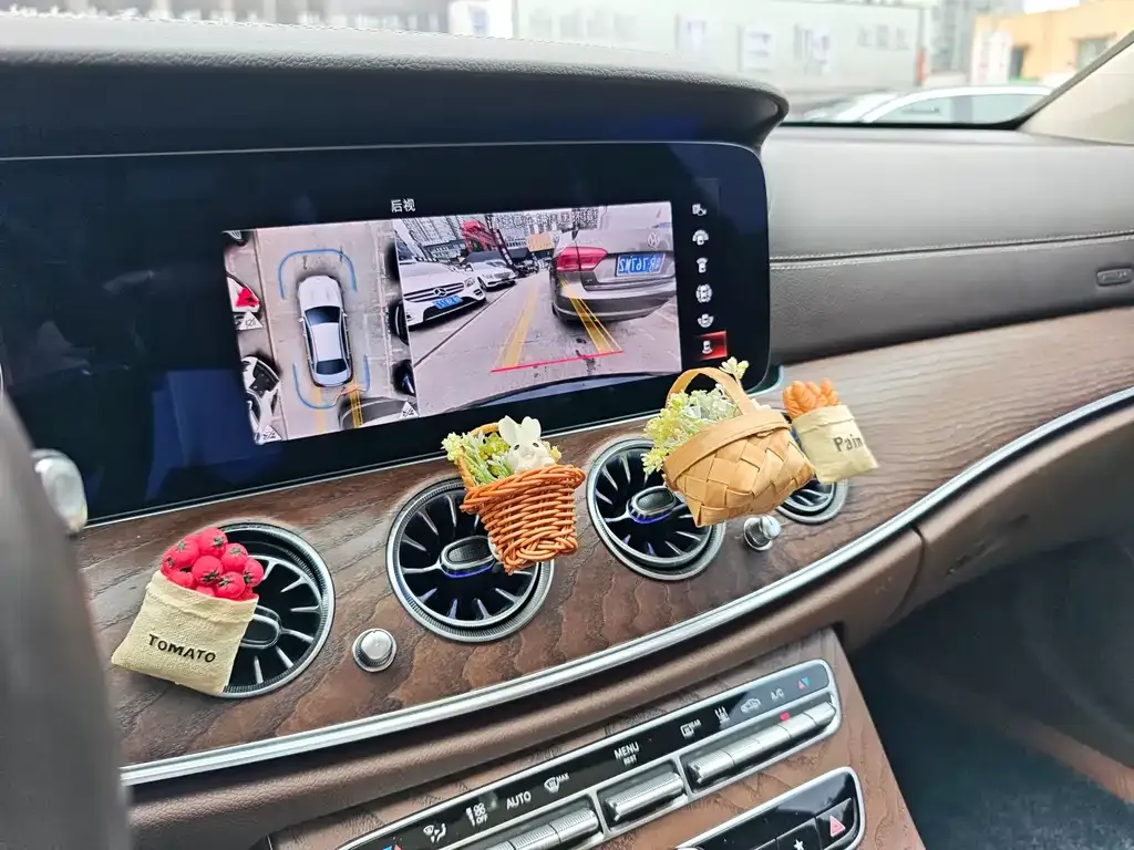 Mercedes-Benz E-Class New Energy — фото 8