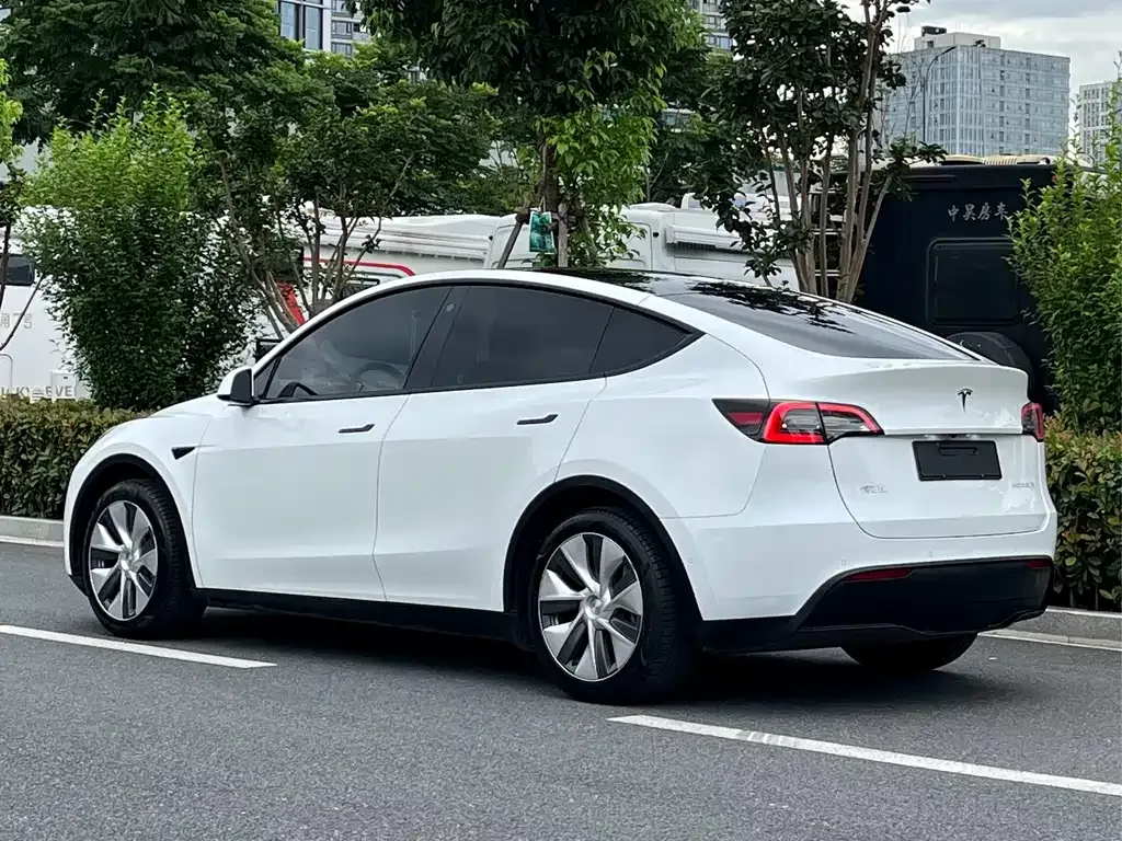 Tesla Model Y — фото 8