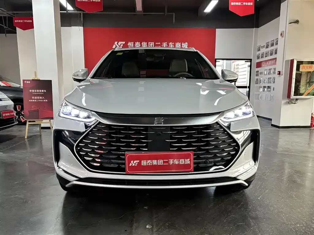 BYD Tang New Energy — фото 2