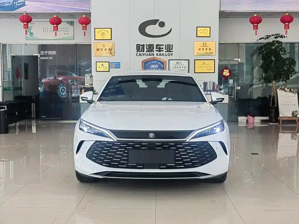 BYD Qin L — фото 6