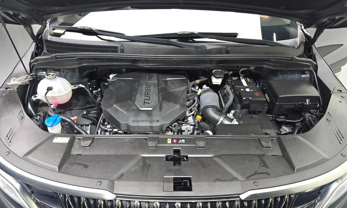 Kia Carnival — фото 10