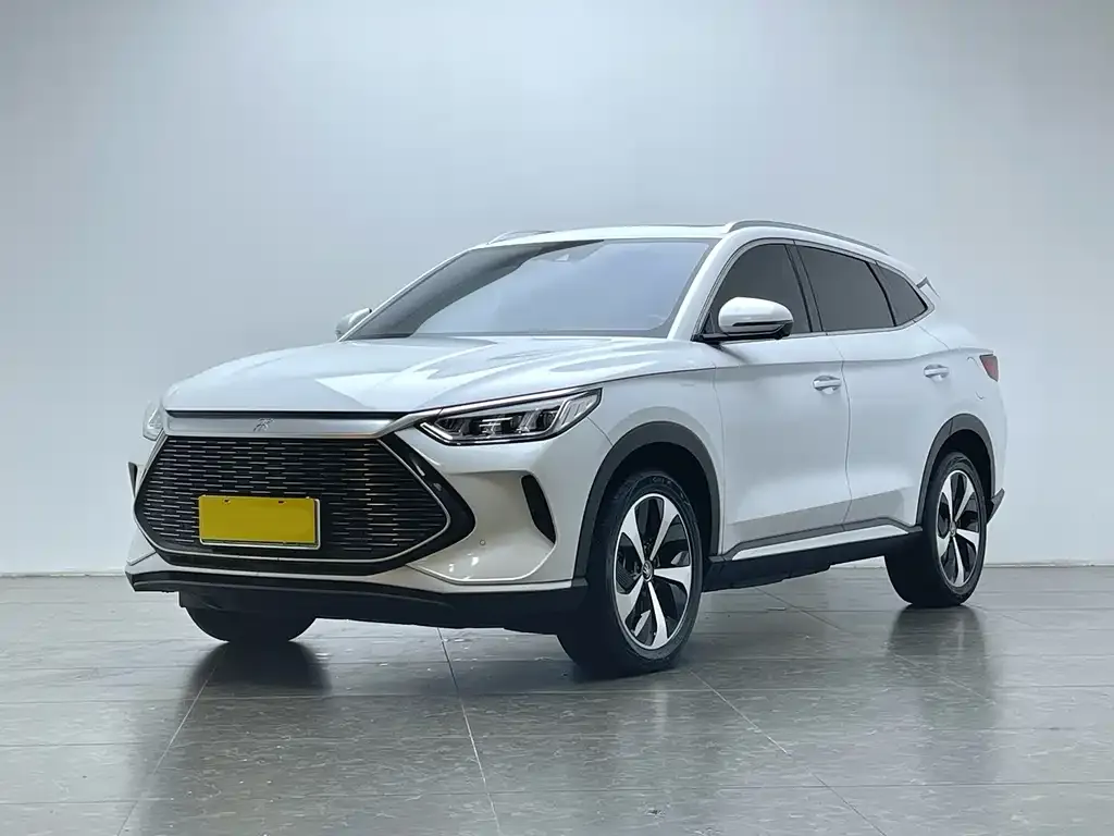 BYD PLUS New Energy — фото 1