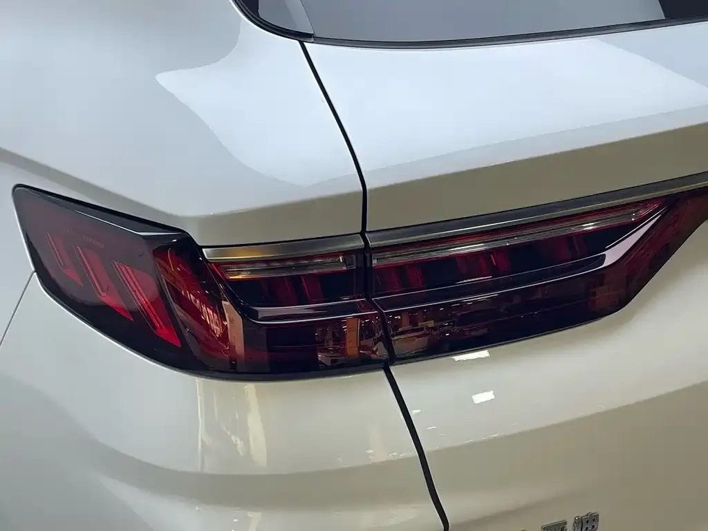 BYD PLUS New Energy — фото 10