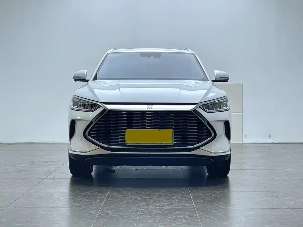 BYD PLUS New Energy — фото 4