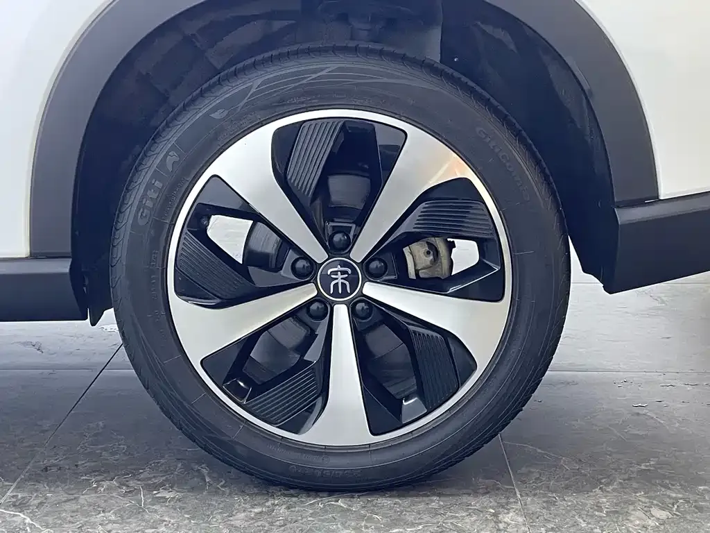 BYD PLUS New Energy — фото 6