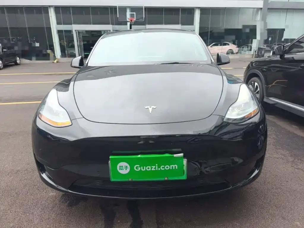 Tesla Model Y — фото 9